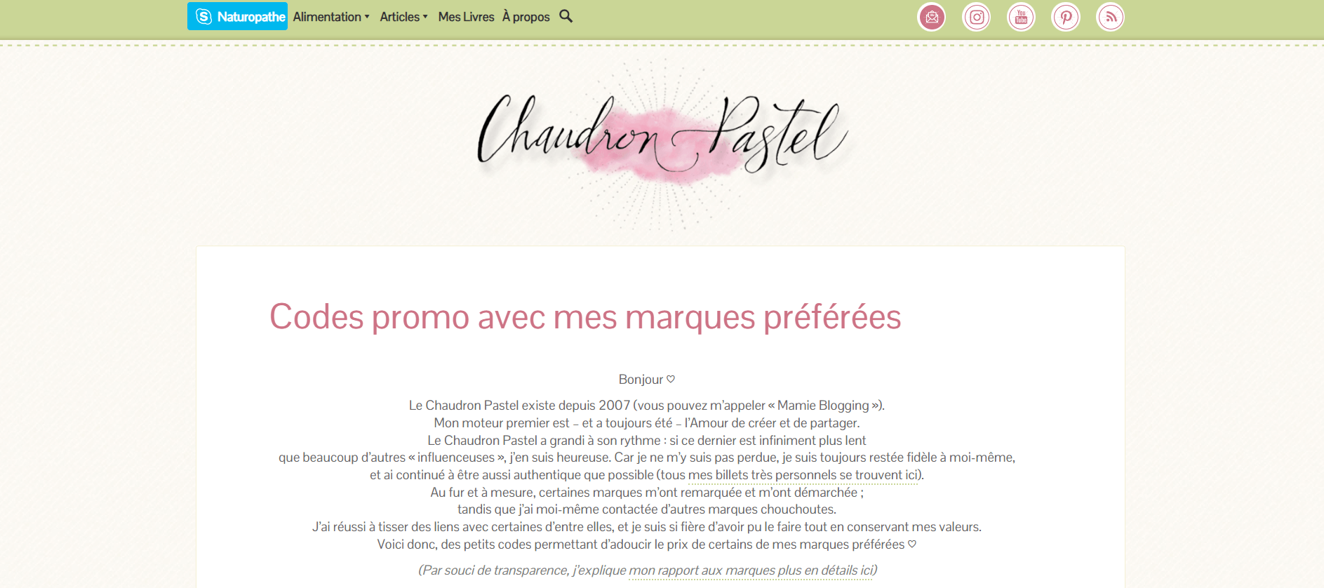 Exemple de site internet : Chaudron Pastel