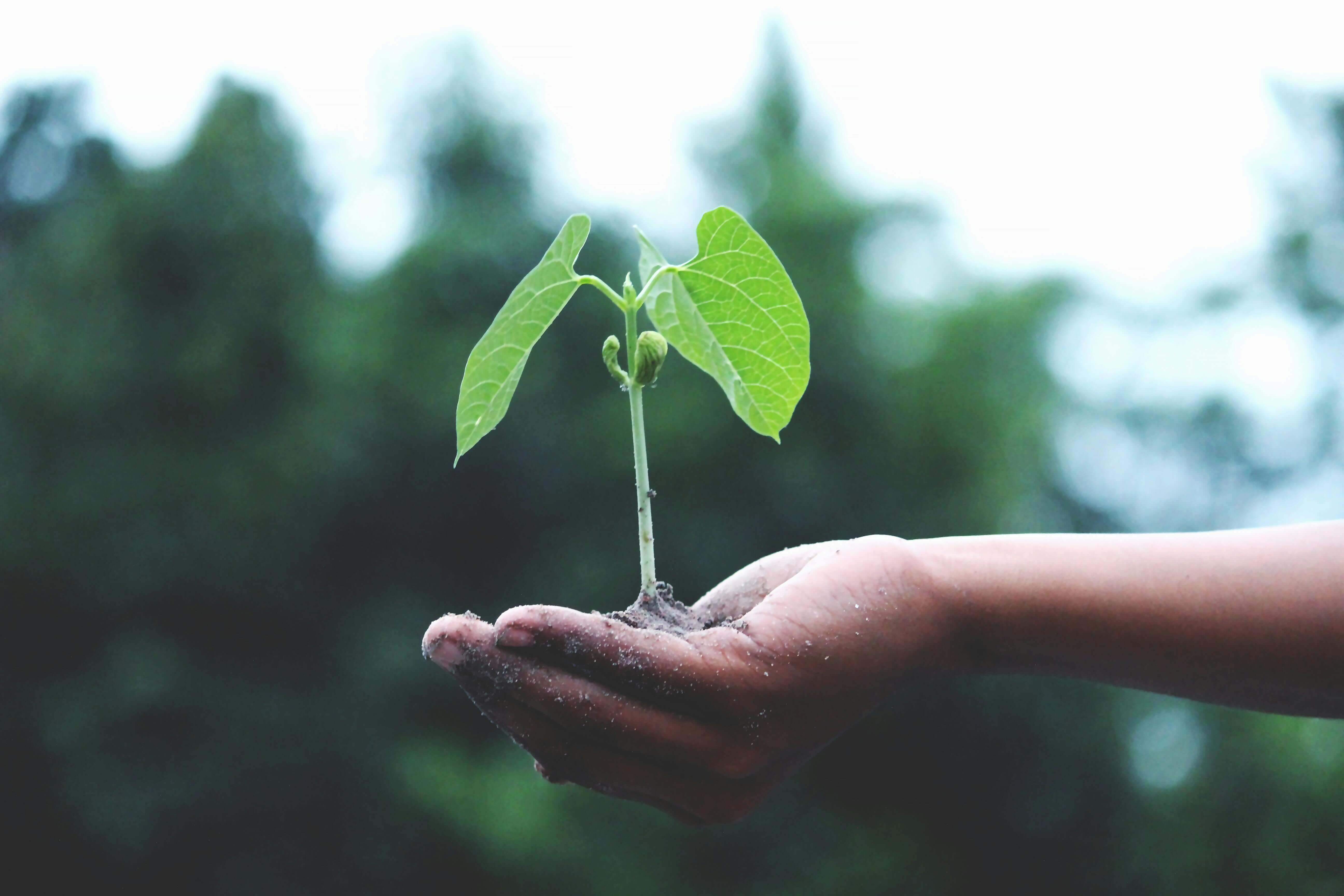 Croissance d'une entreprise responsable