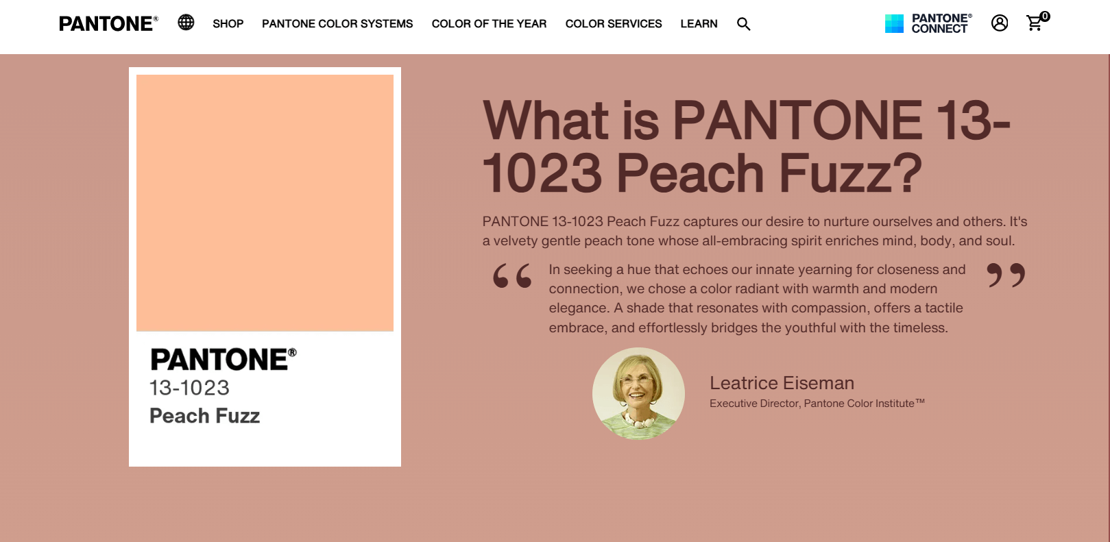 Tendances webdesign 2025 : Pantone