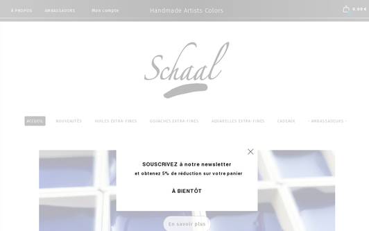Site exemple SCHAAL ⎮ Handmade Artist&#39;s Colors